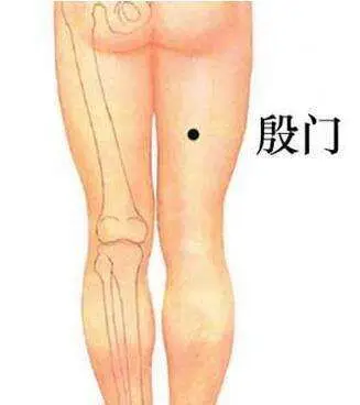 殷门穴.png